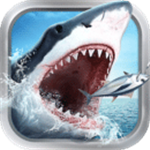 手机开外网软件