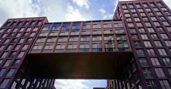 隔壁老王vp加速器梯子