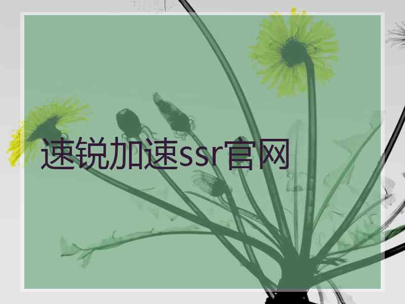 速锐加速ssr官网
